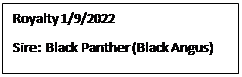 Text Box: Royalty 1/9/2022
Sire:  Black Panther (Black Angus)

