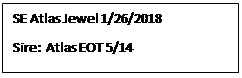 Text Box: SE Atlas Jewel 1/26/2018
Sire:  Atlas EOT 5/14
