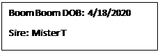 Text Box: Boom Boom DOB:  4/18/2020
Sire:  Mister T
