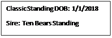 Text Box: Classic Standing DOB:  1/1/2018
Sire:  Ten Bears Standing
