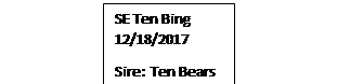 Text Box: SE Ten Bing 12/18/2017
Sire:  Ten Bears Standing
